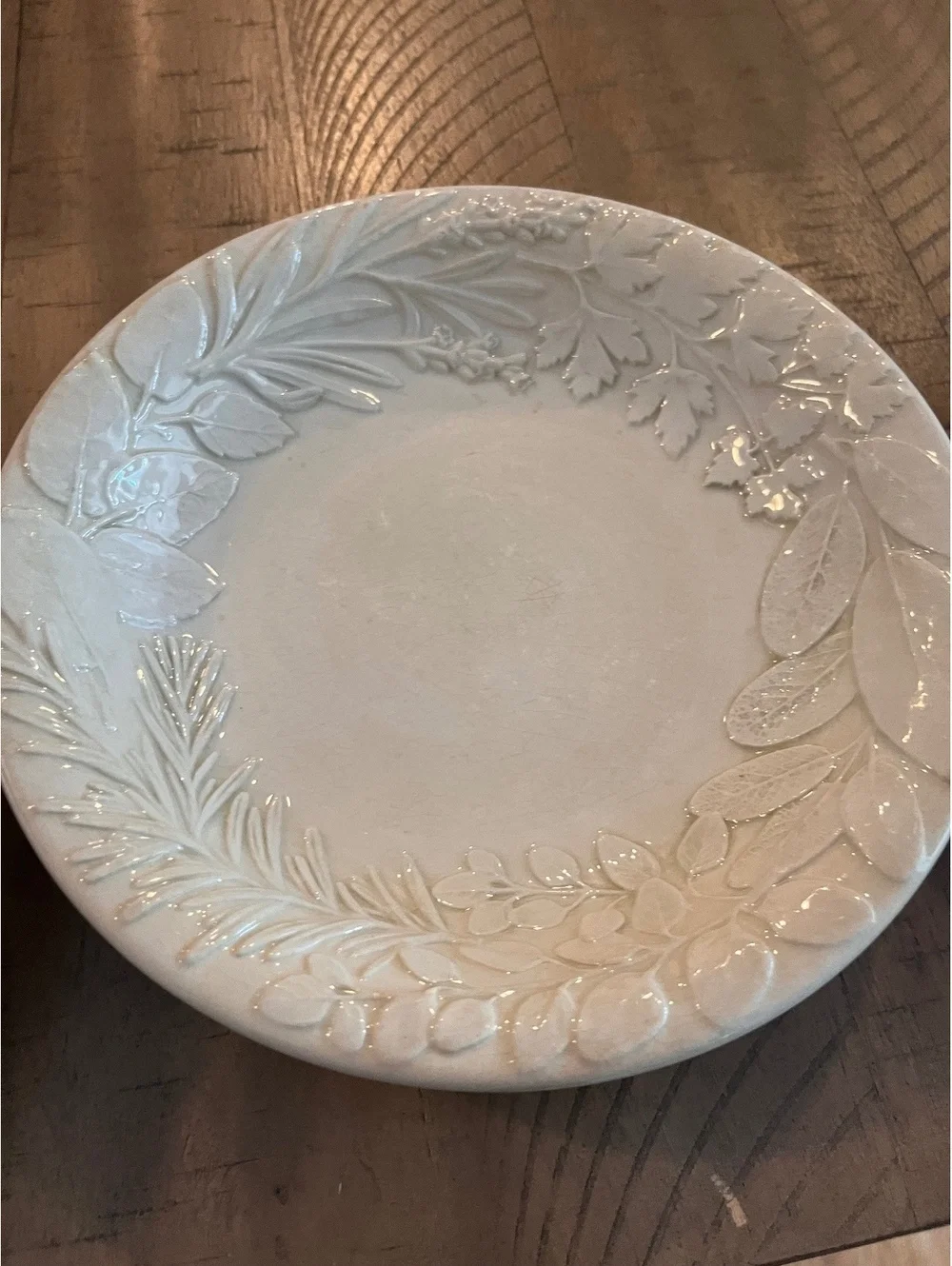 Williams-Sonoma Herb 9” Pasta Bowls Set of 3 Embossed Botanical Made in Italy
